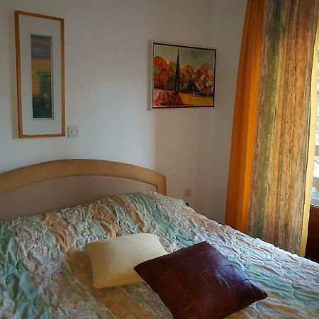 Apartment Slavi Vipava Extérieur photo