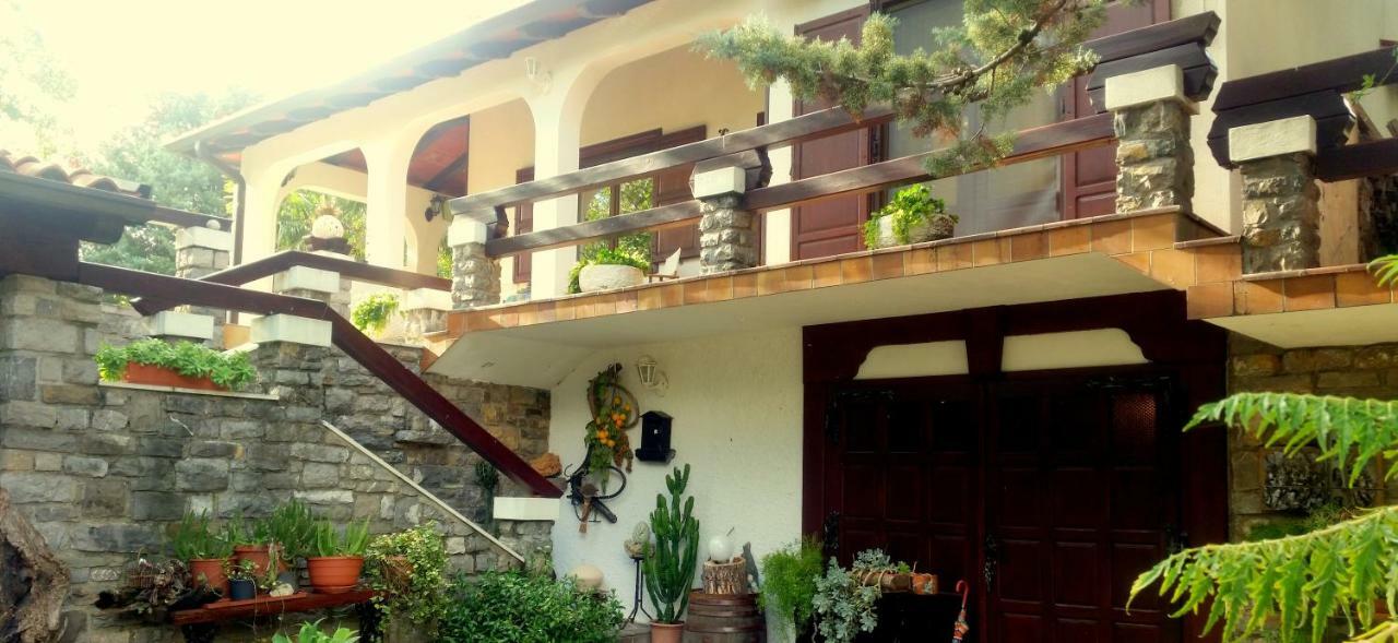 Apartment Slavi Vipava Extérieur photo