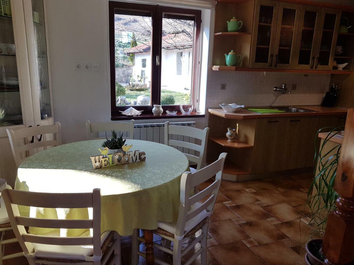 Apartment Slavi Vipava Extérieur photo